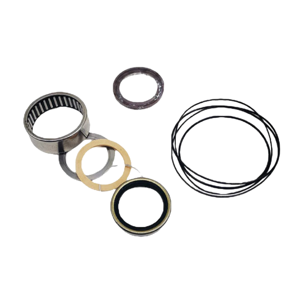 SEAL KIT,RC SERIES DR MOTOR
